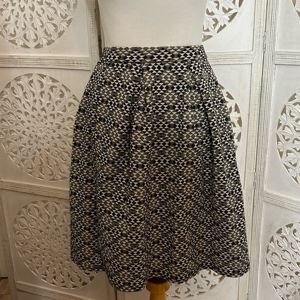 Black and White A-line Skirt